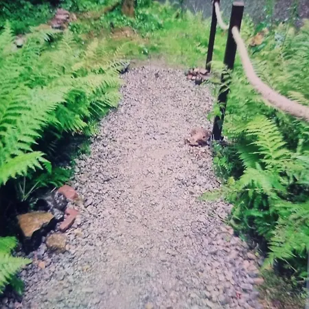 Abenteuerurlaub Im Tannenwald Apartment