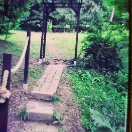 Abenteuerurlaub Im Tannenwald *