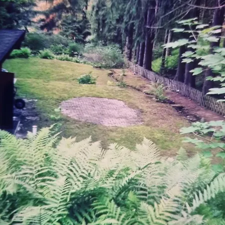 Abenteuerurlaub Im Tannenwald Ilmenau