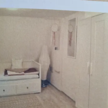 Abenteuerurlaub Im Tannenwald