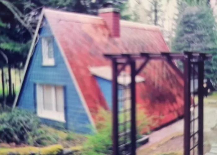 Apartment Abenteuerurlaub Im Tannenwald *