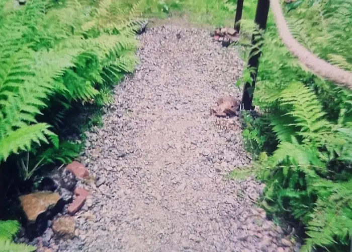 Abenteuerurlaub Im Tannenwald Apartment