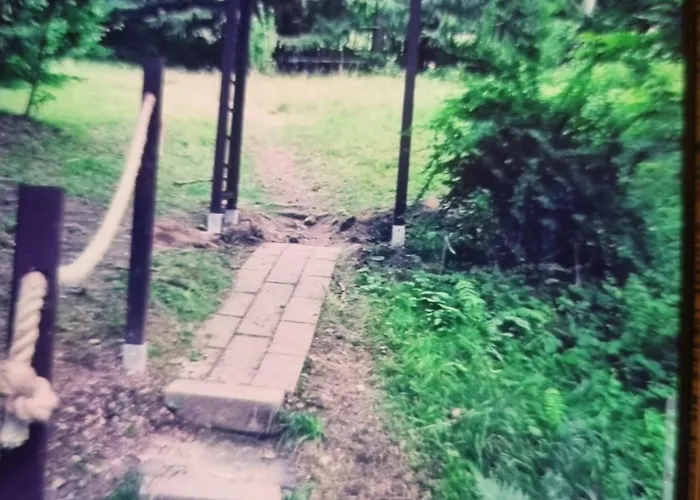 Abenteuerurlaub Im Tannenwald *