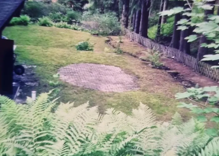 Abenteuerurlaub Im Tannenwald Ilmenau