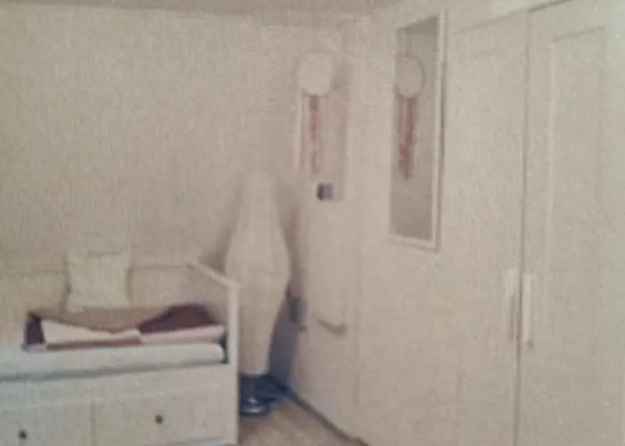 Abenteuerurlaub Im Tannenwald