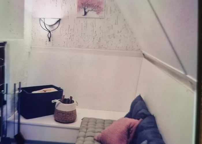 Abenteuerurlaub Im Tannenwald *