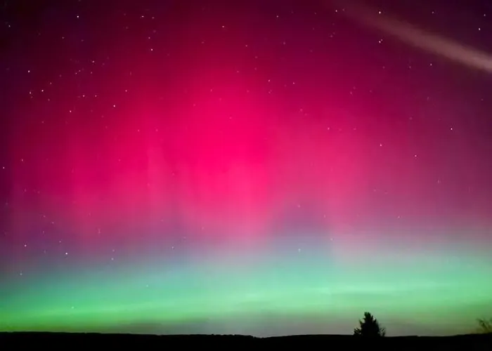 Abenteuerurlaub Im Tannenwald Apartment Ilmenau